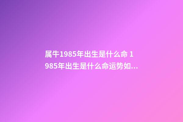 属牛1985年出生是什么命 1985年出生是什么命运势如何 1985年出生的人是什么命-第1张-观点-玄机派